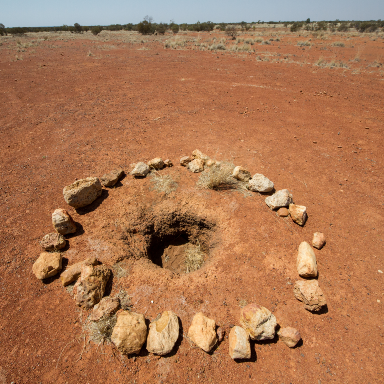 Preserving Adnyamathanha Culture Through Digitisation and the AI Elder